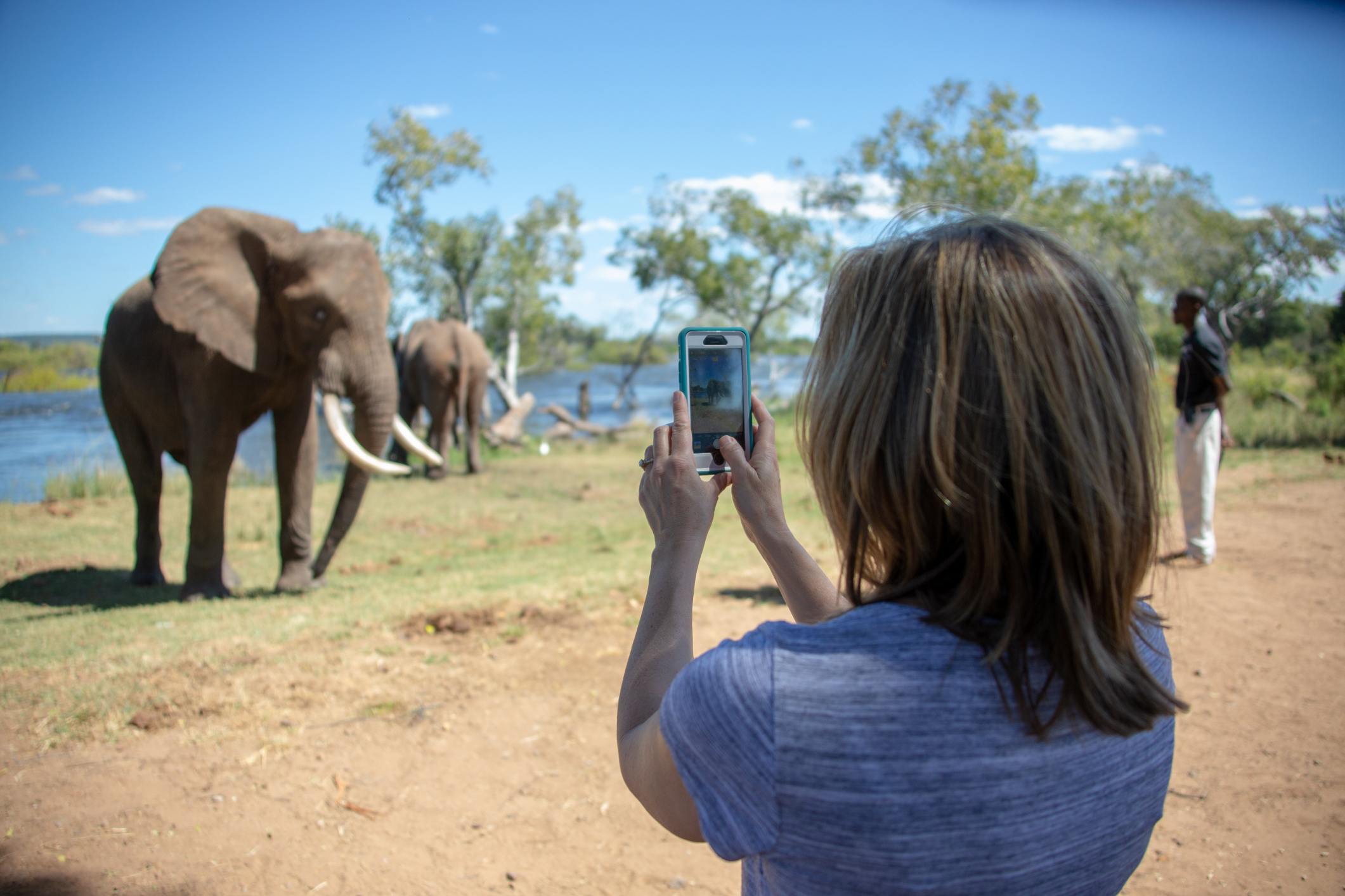Woman taking picture during elephant safari on Corporate Incentive Trip | Global agency, BCD Meetings & Events