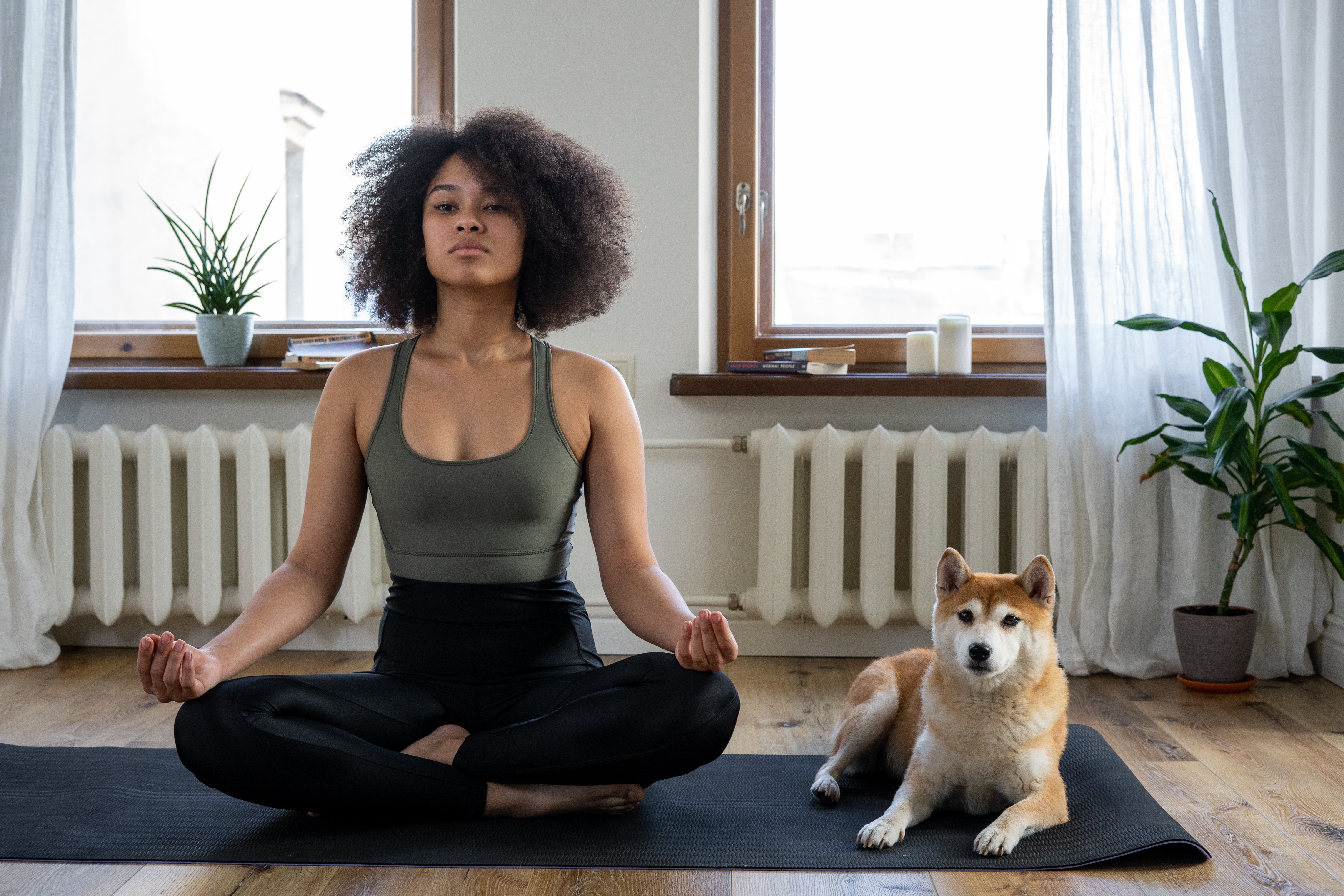 Woman sitting on yoga mat with dog during Virtual Meeting break | Global agency, BCD Meetings & Events