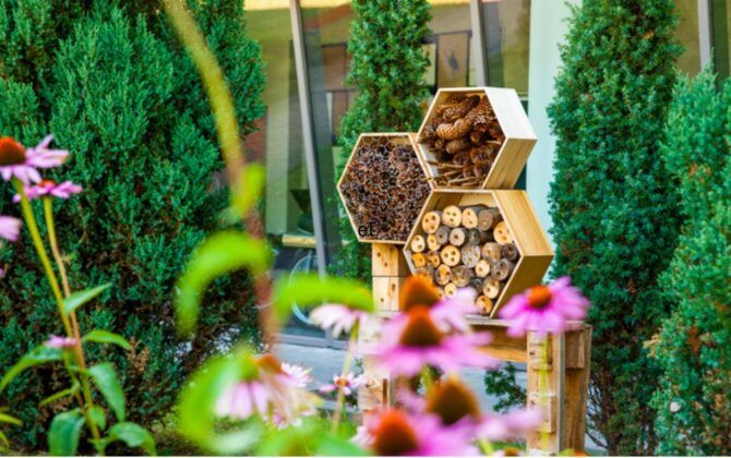 flowers and bee homes